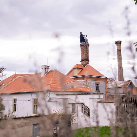 Отель Pivovarsky 3*