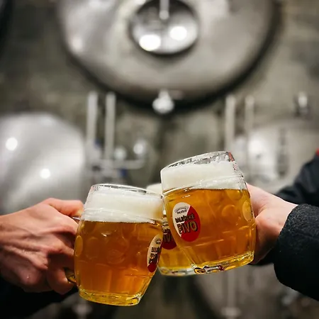 Отель Pivovarsky Dalesice